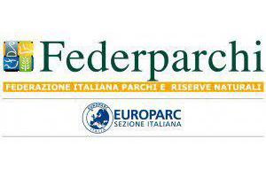 Federparchi Federparchi